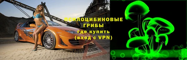 крисы Вязники