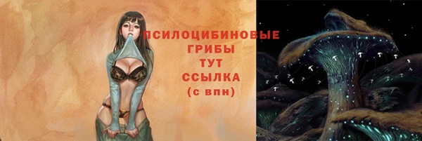 прущие крисы Вязьма