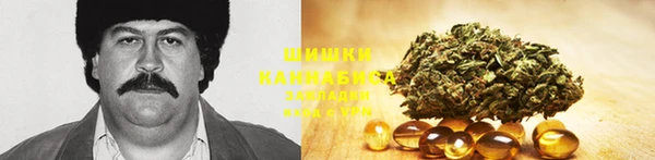 крисы Вязники